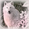 Фото White Wolf