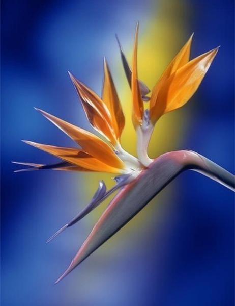 Фото Марина Короткова