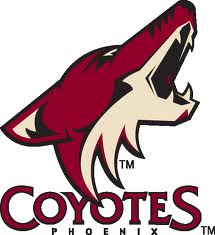 Фото phoenix-coyotes