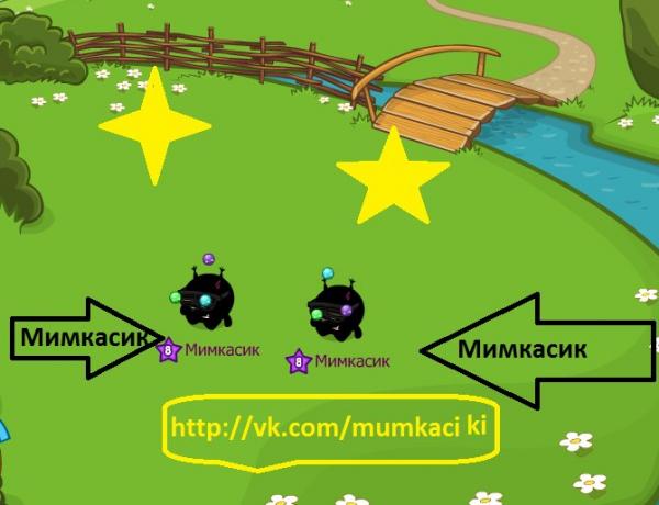 Фото Мимкасик