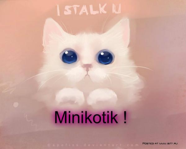 Фото Minikotik