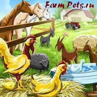 Фото farm-pets