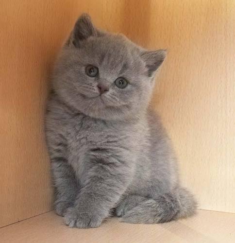 Фото Леся Болотина