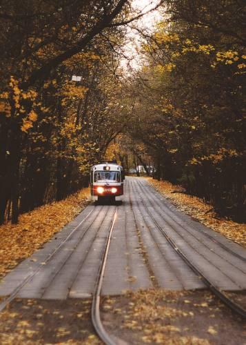 Фото Зинаида Побережник ( Брижань)