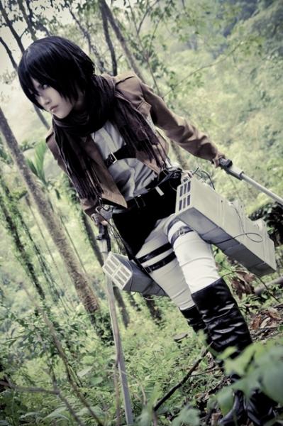 Фото Mikasa