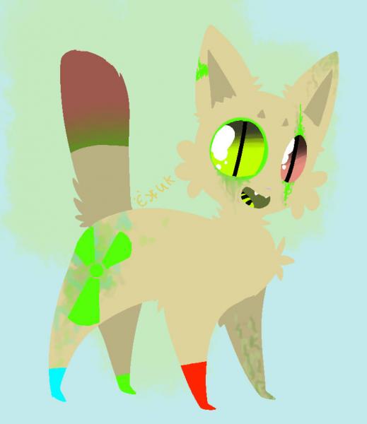 Фото Полина Друпова