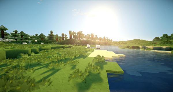 Фото Антон Калашников