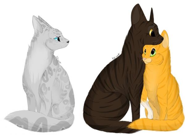 Фото fem_Ashfur