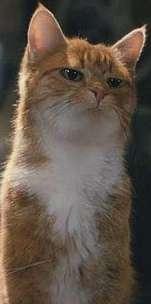 Фото Keit Krimson