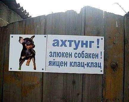 Фото техподержка