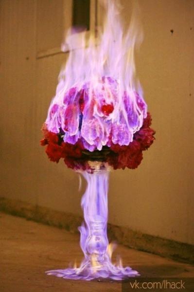 Фото Тагир Хасанов