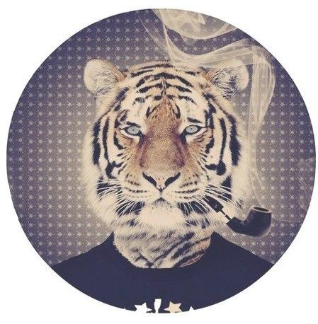 Фото Богдан Гирич