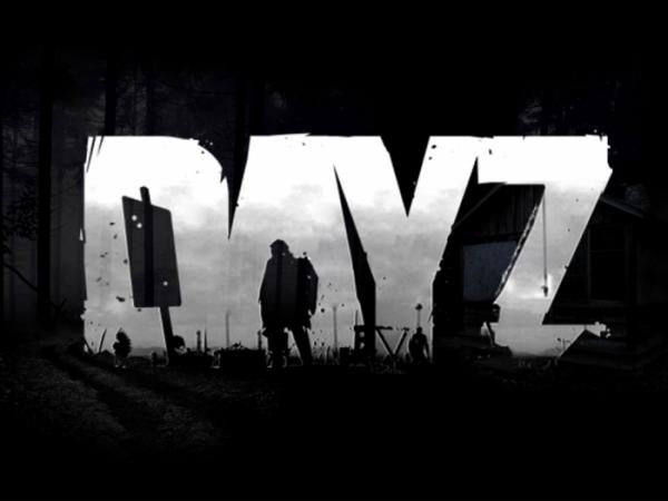 Фото Arma2DayZ