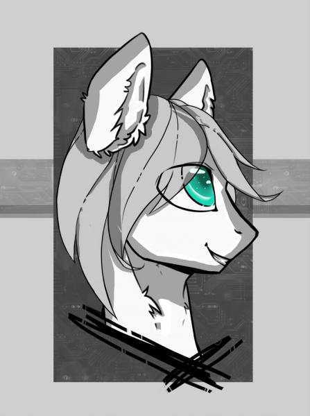 Фото Вова Галкин