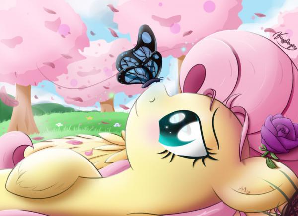 Фото ♥Fluttershay loves animals ♥