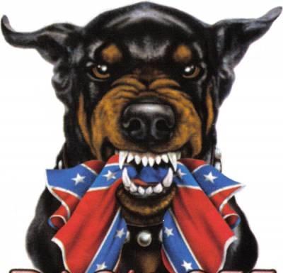 Фото doberman1306