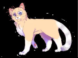 Фото Идущая по Следу.