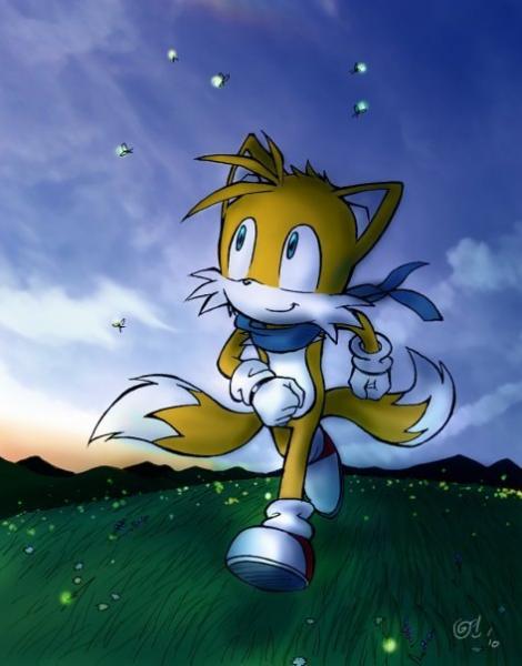 Фото Tails Prower