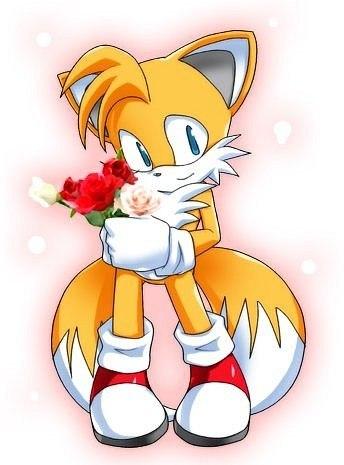 Фото Tails Prower