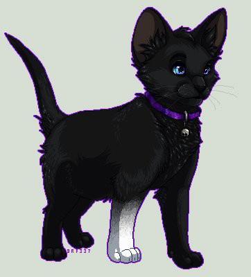 Фото Лиза Сыцянко