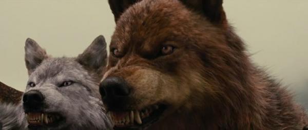 Фото Ксения Владимирова