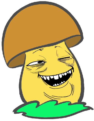 Фото Александр Ксенс