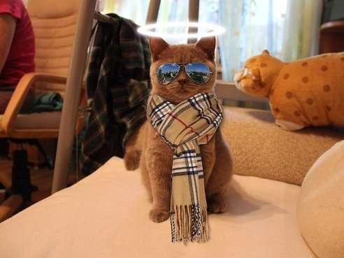 Фото Андрей Пасынков